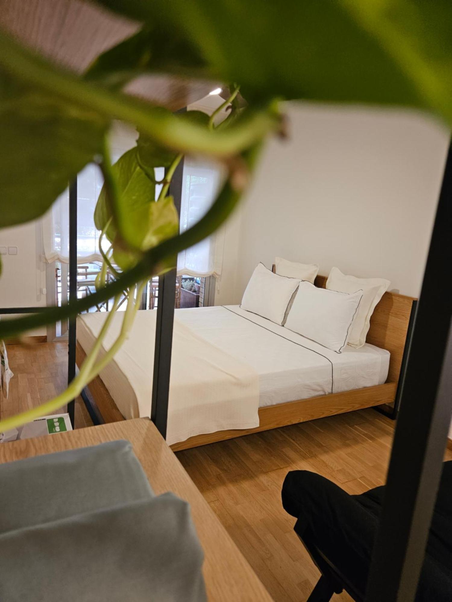Apartment Estudiosuenossuite