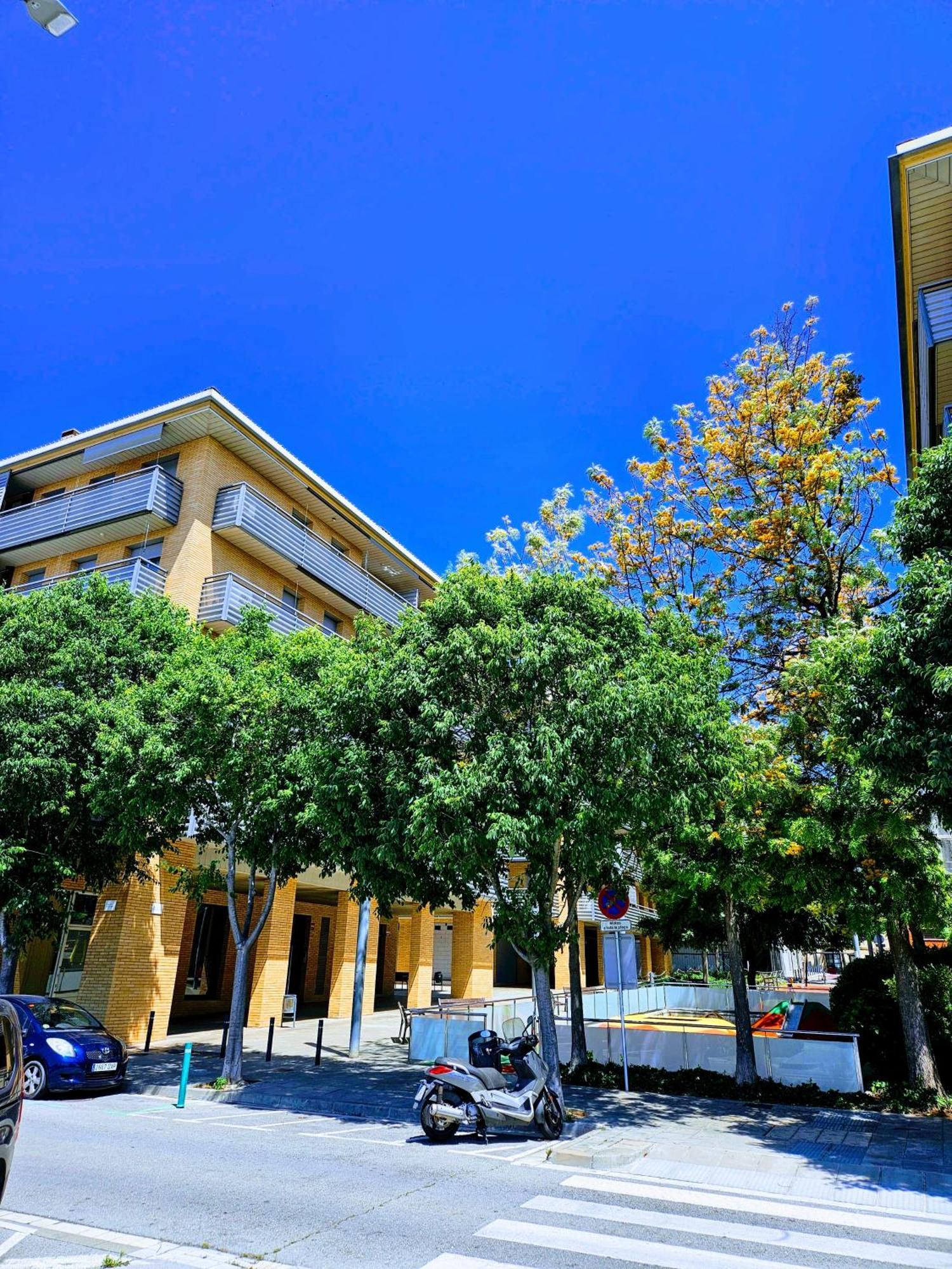 Estudiosuenossuite